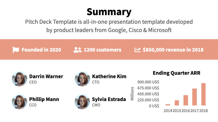 Summary Salmon Pitch Deck Template