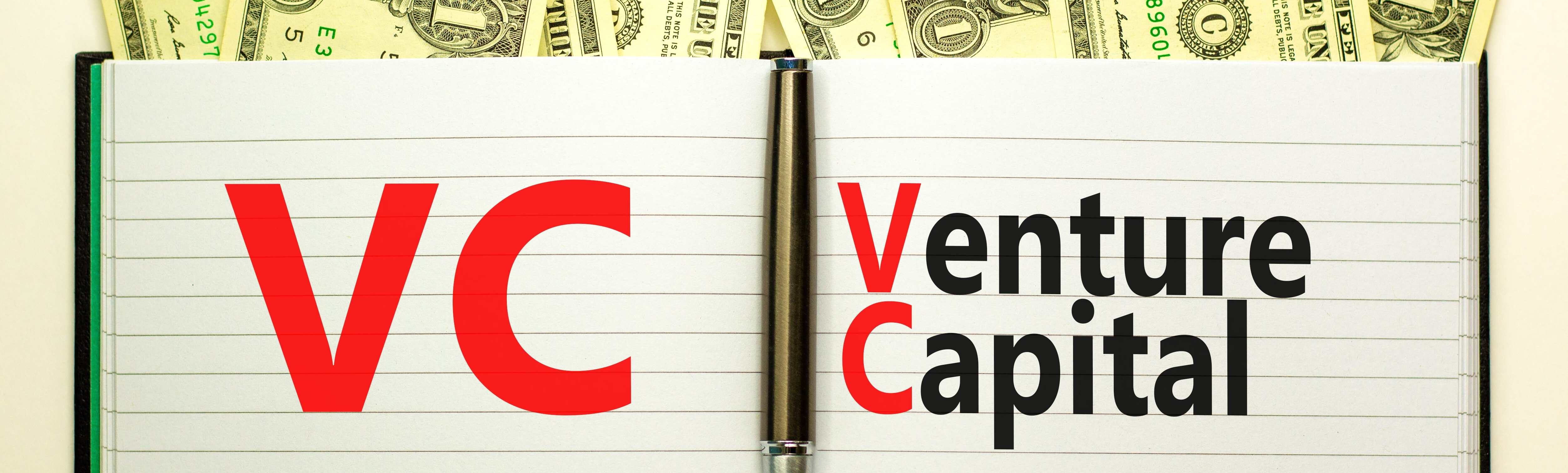 Venture Capital Advantages and Disadvantages: 2024 Guide