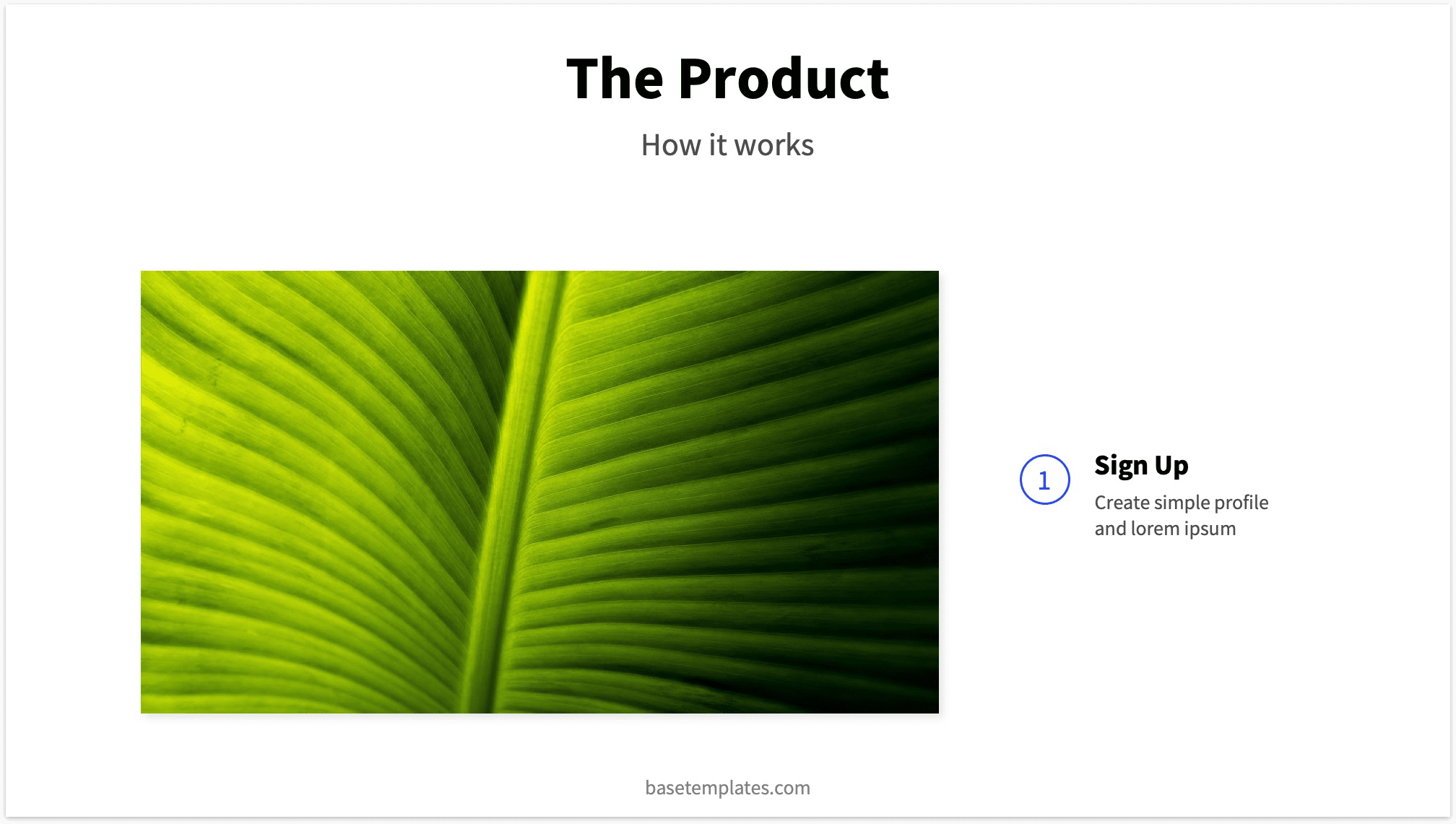 Example for Pitch Deck Product Slide